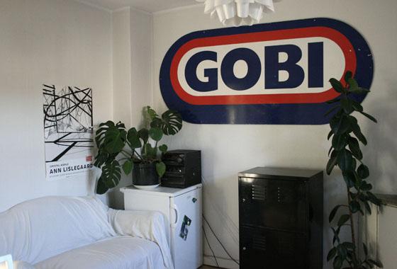 gobi