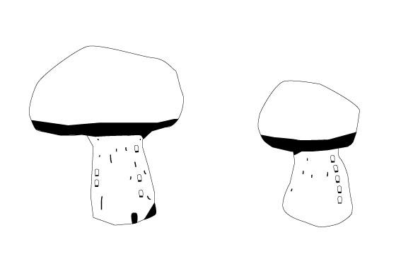 habitable mushroom continued